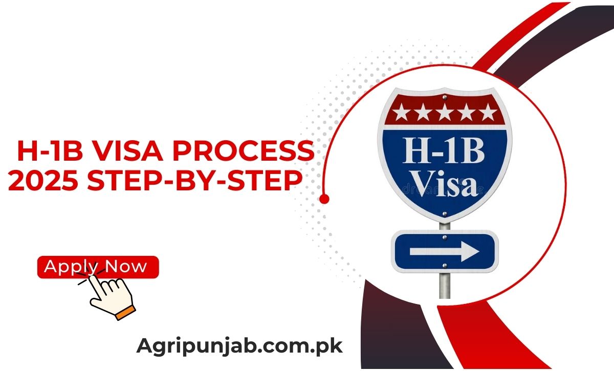 h-1b visa process